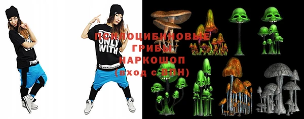 винт Горно-Алтайск