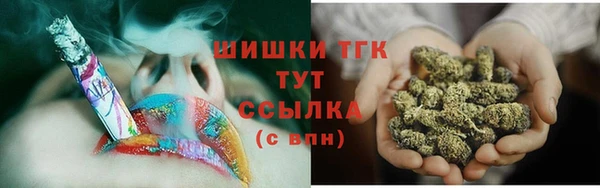 шишки Горняк