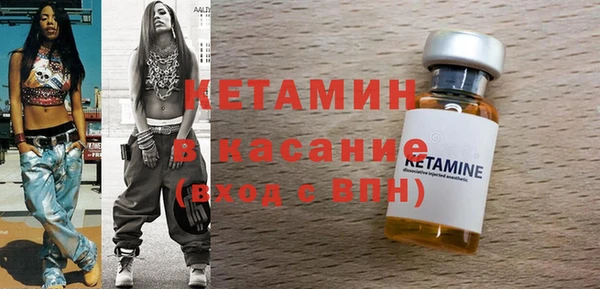 шишки Горняк