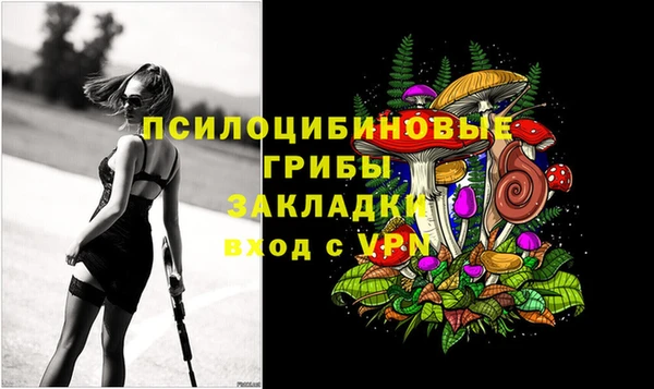 шишки Горняк