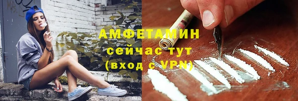 шишки Горняк
