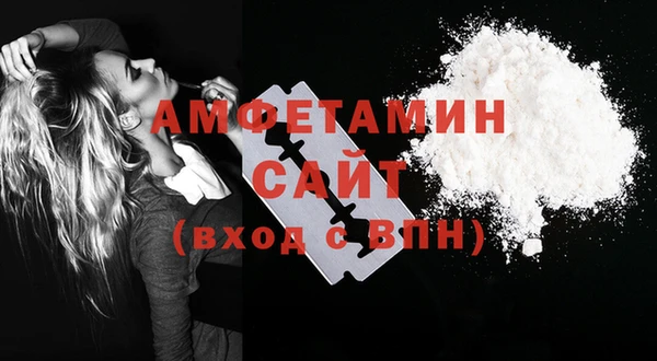 шишки Горняк