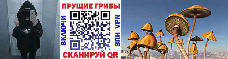 Купить закладки  Бронницы  Псилоцибиновые грибы прущие грибы 